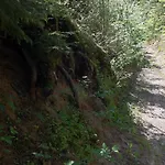 Agropensjonat Stregielek Privatunterkunft