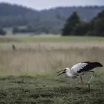 Privatunterkunft Agropensjonat Stregielek Stręgielek