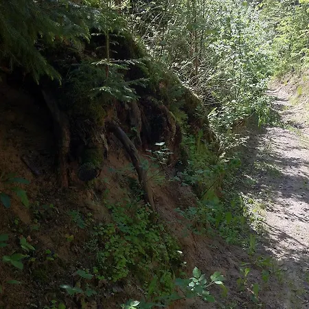 Agropensjonat منزل للإقامة